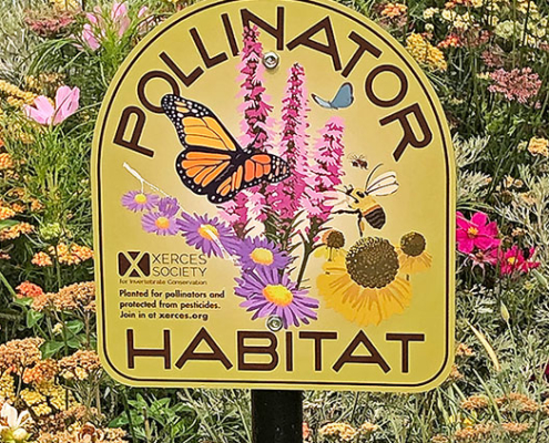 Pollinator Habitat Sustainability News at Southern Oregon University cover