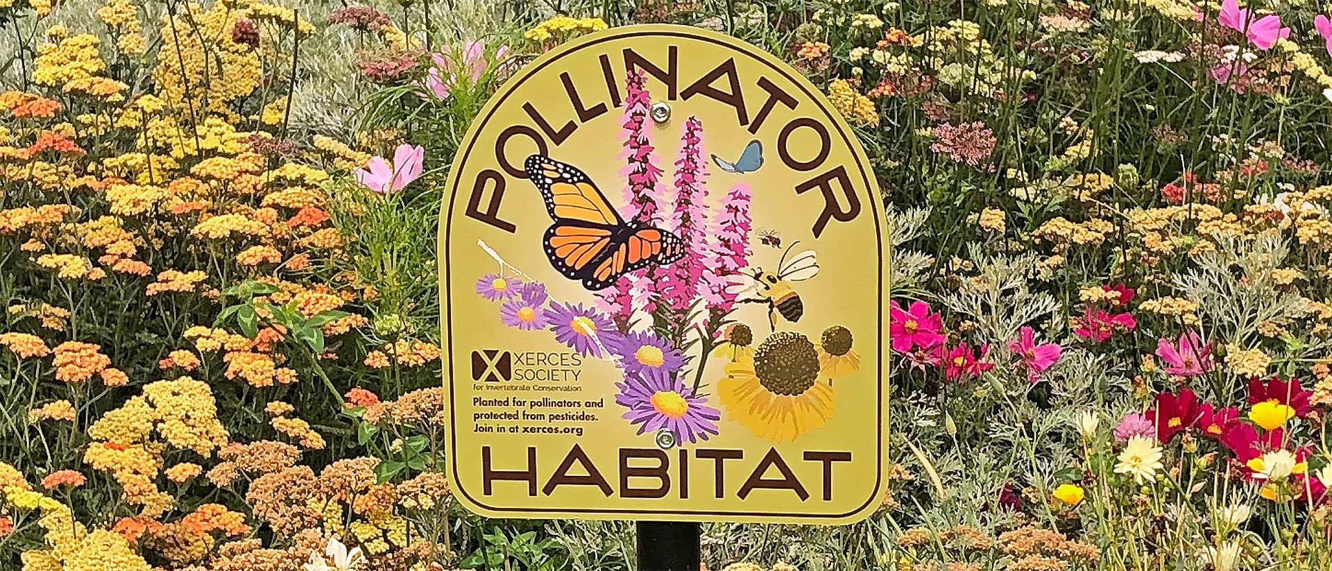Pollinator Habitat Sustainability News at Southern Oregon University