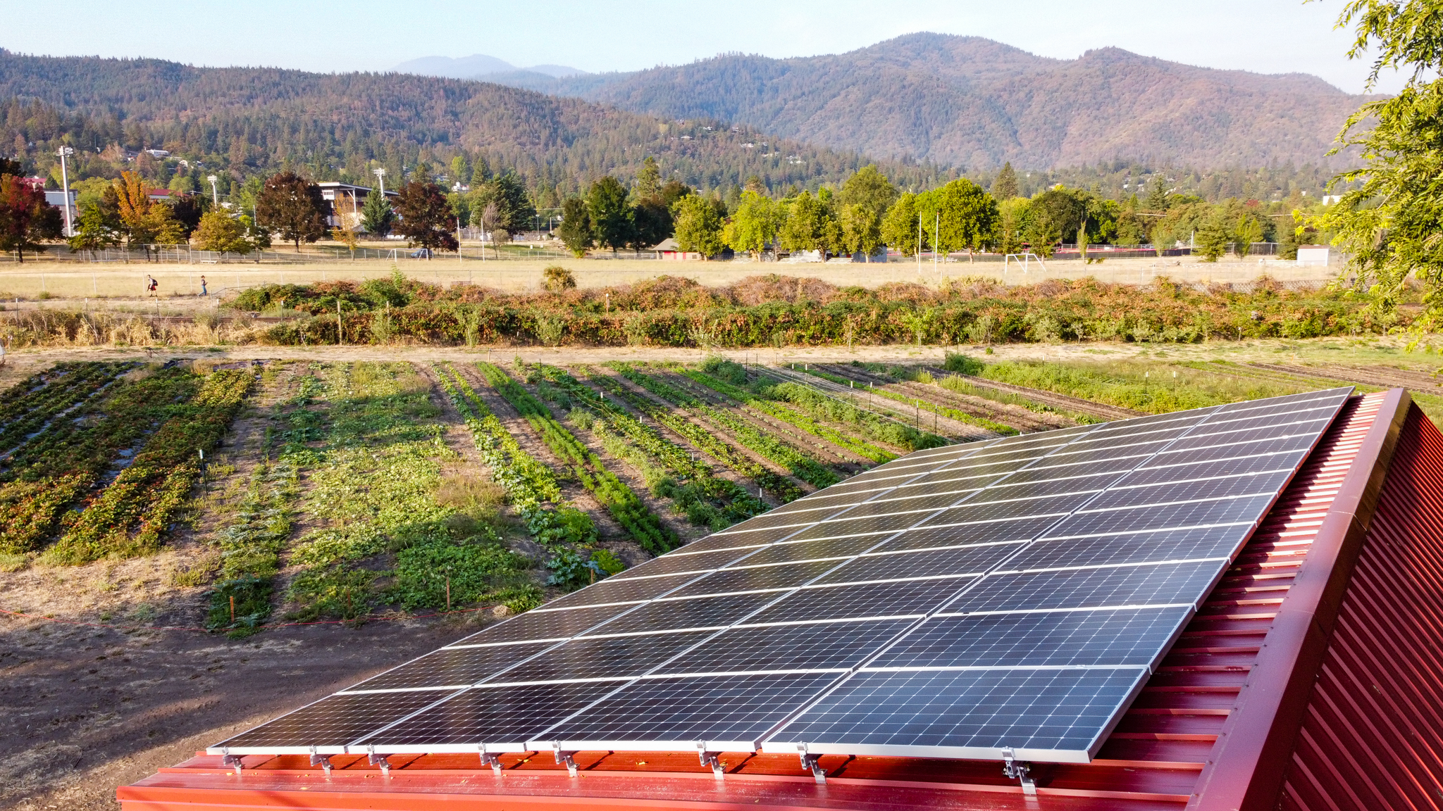 SOU Farm with solar panels