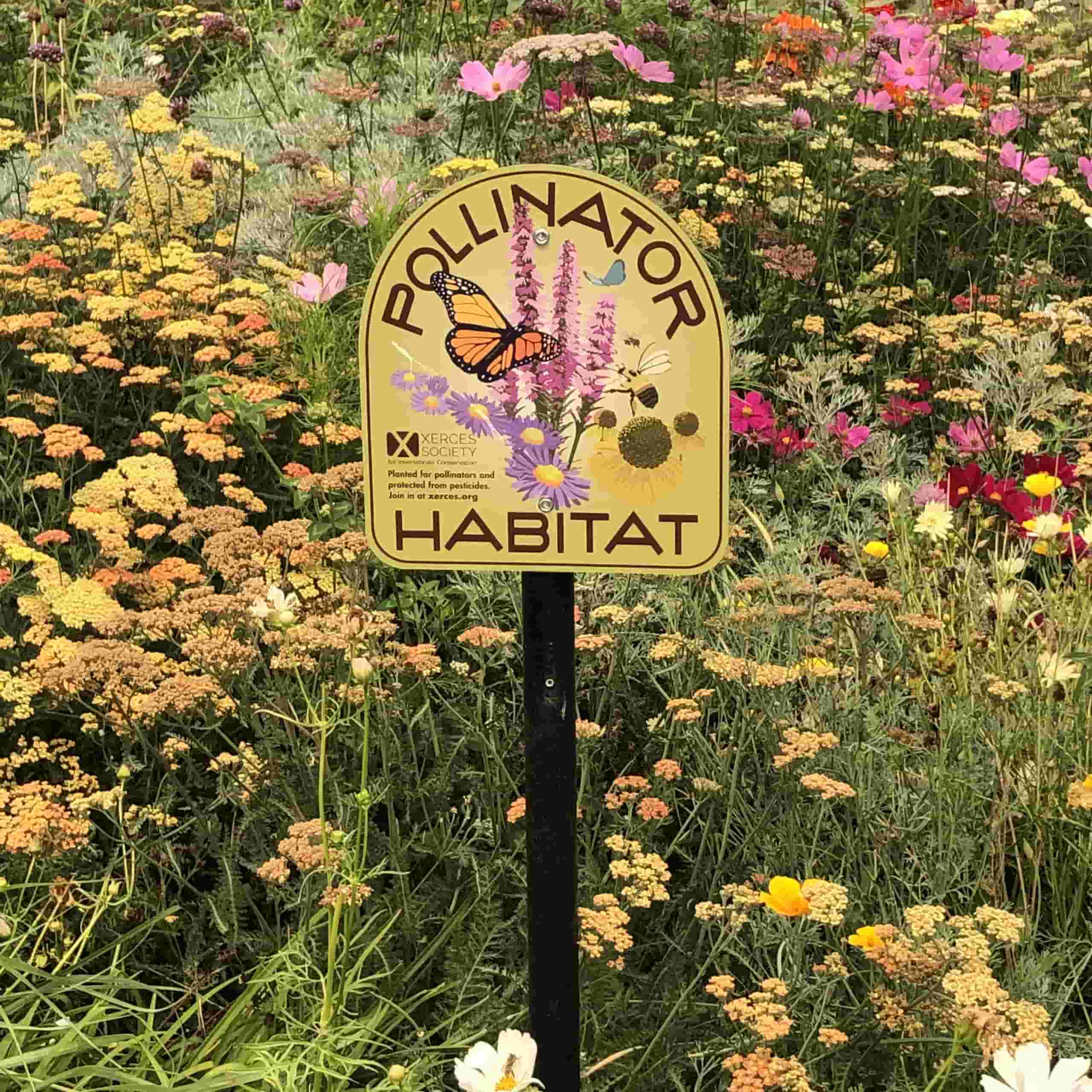 SOU Pollinator Habitat sign